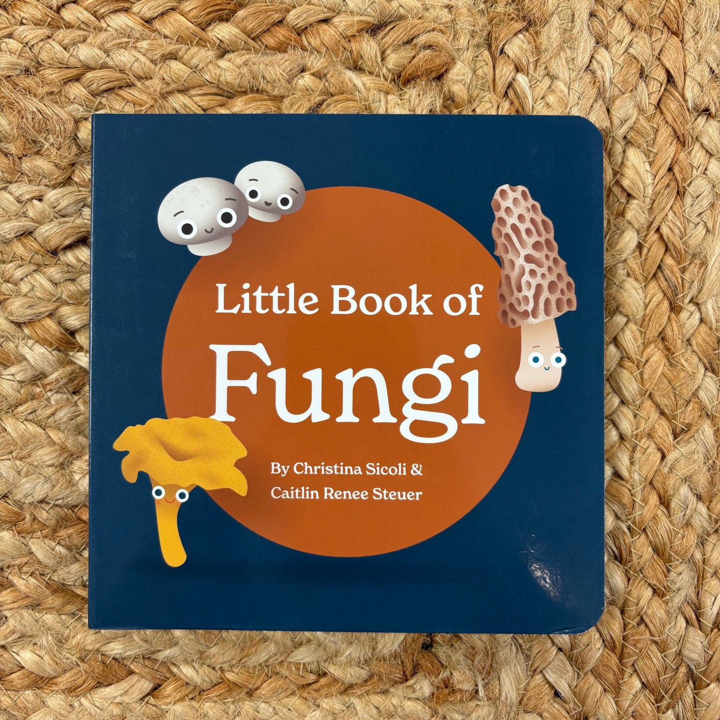 Little Book of Fungi