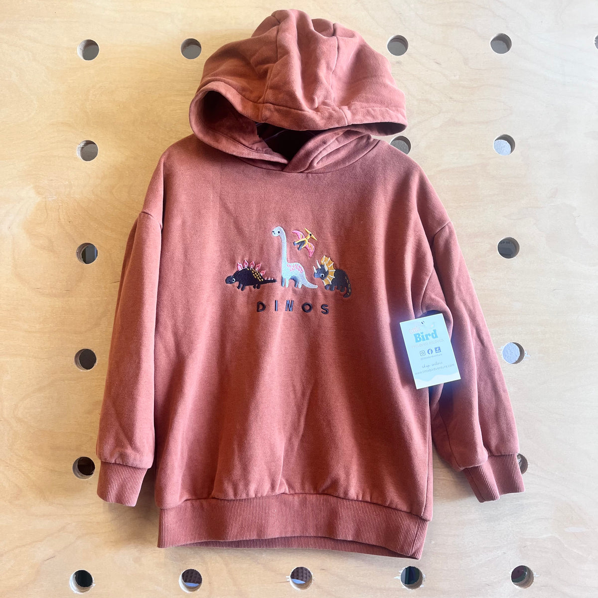 Brown Embroidered Dinos Hoodie