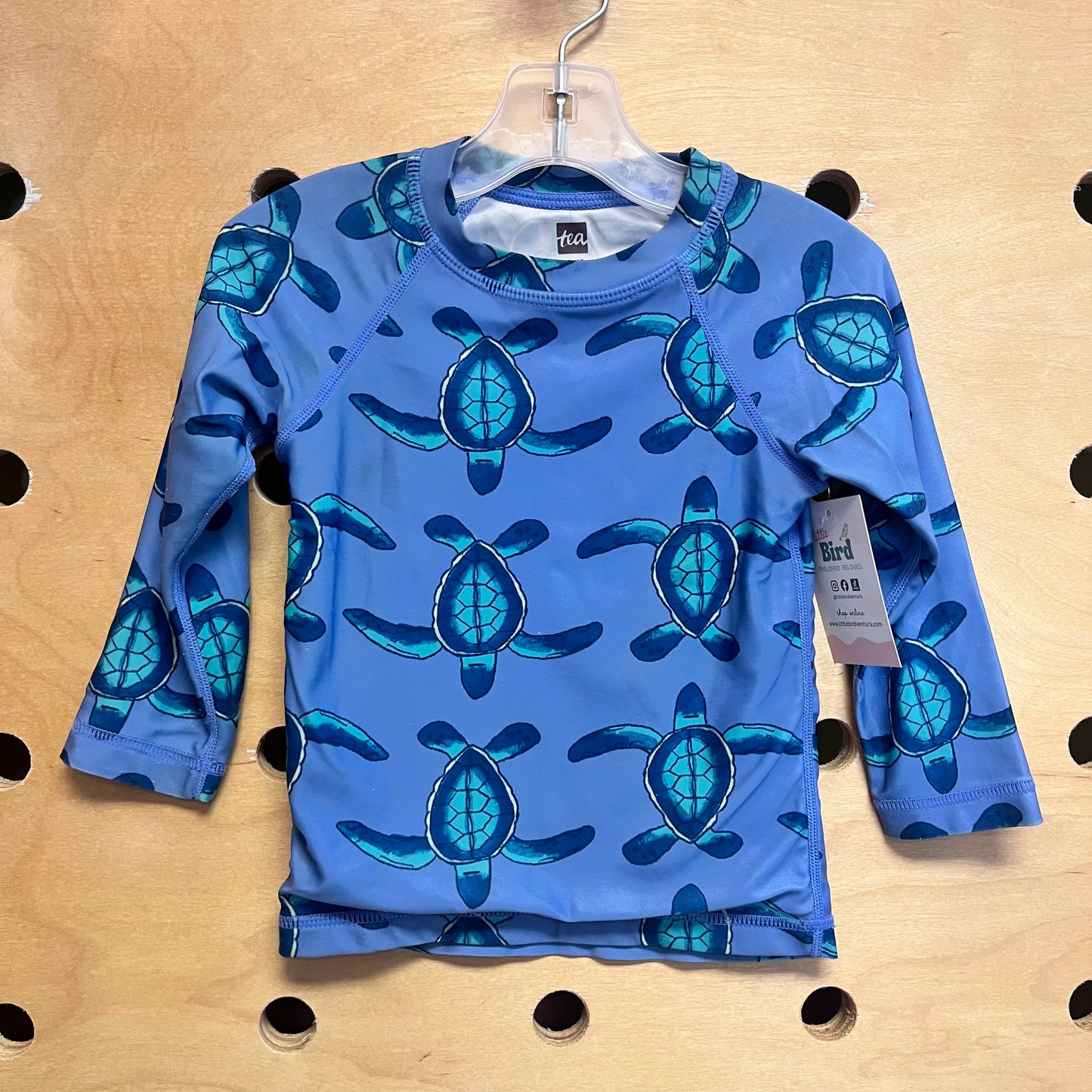 Blue Sea Turtles Rash Guard