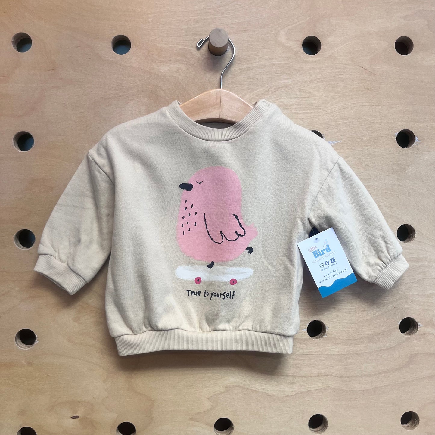 True to Yourself Bird Pullover