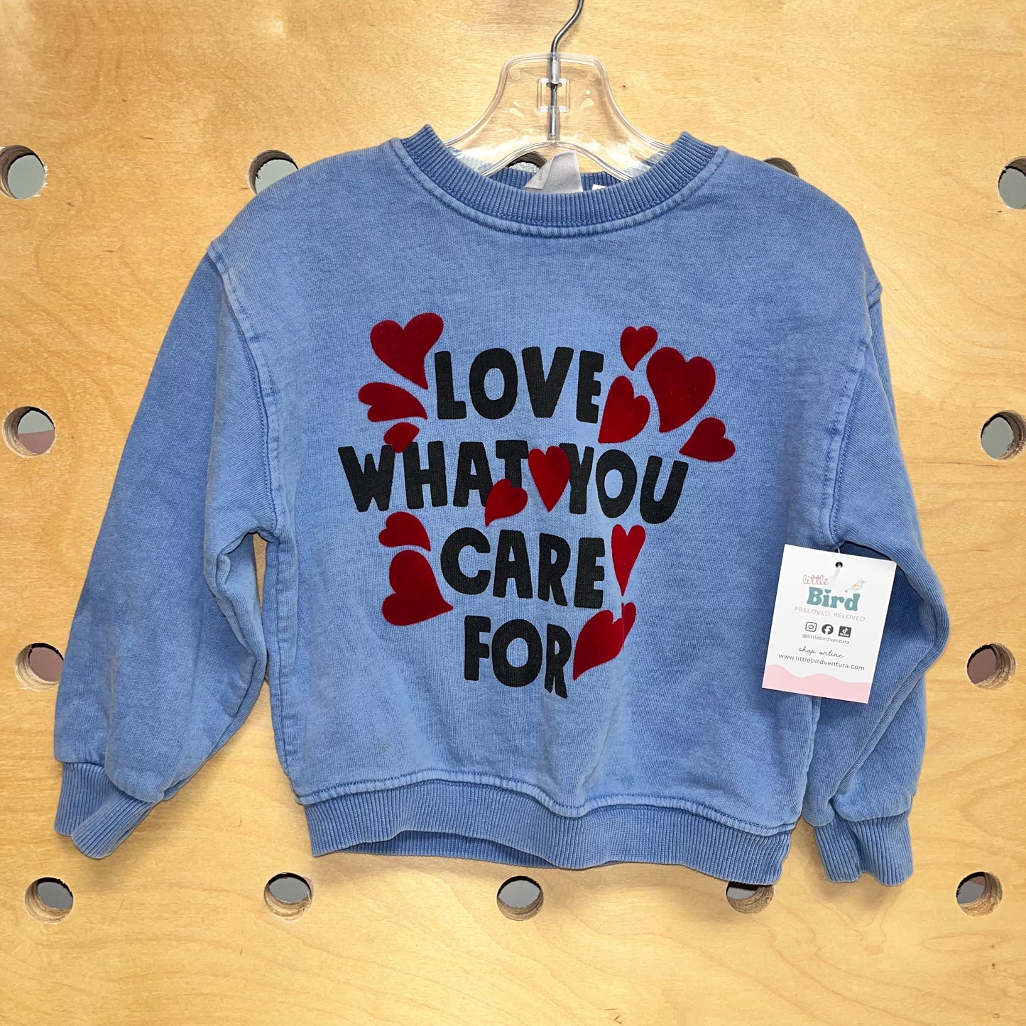 Blue 'Love What You Care For' Pullover