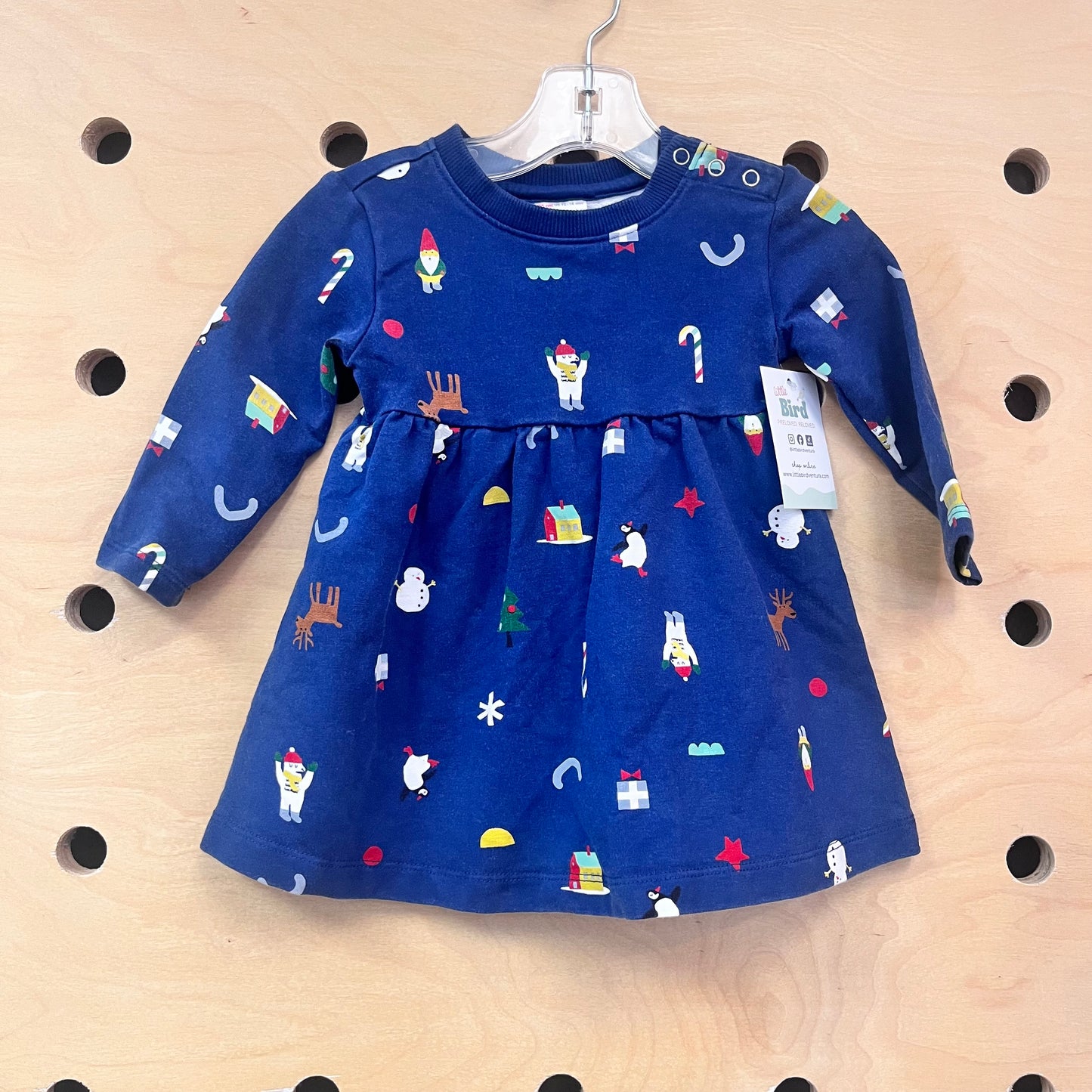 Blue Winter Scape Organic Dress