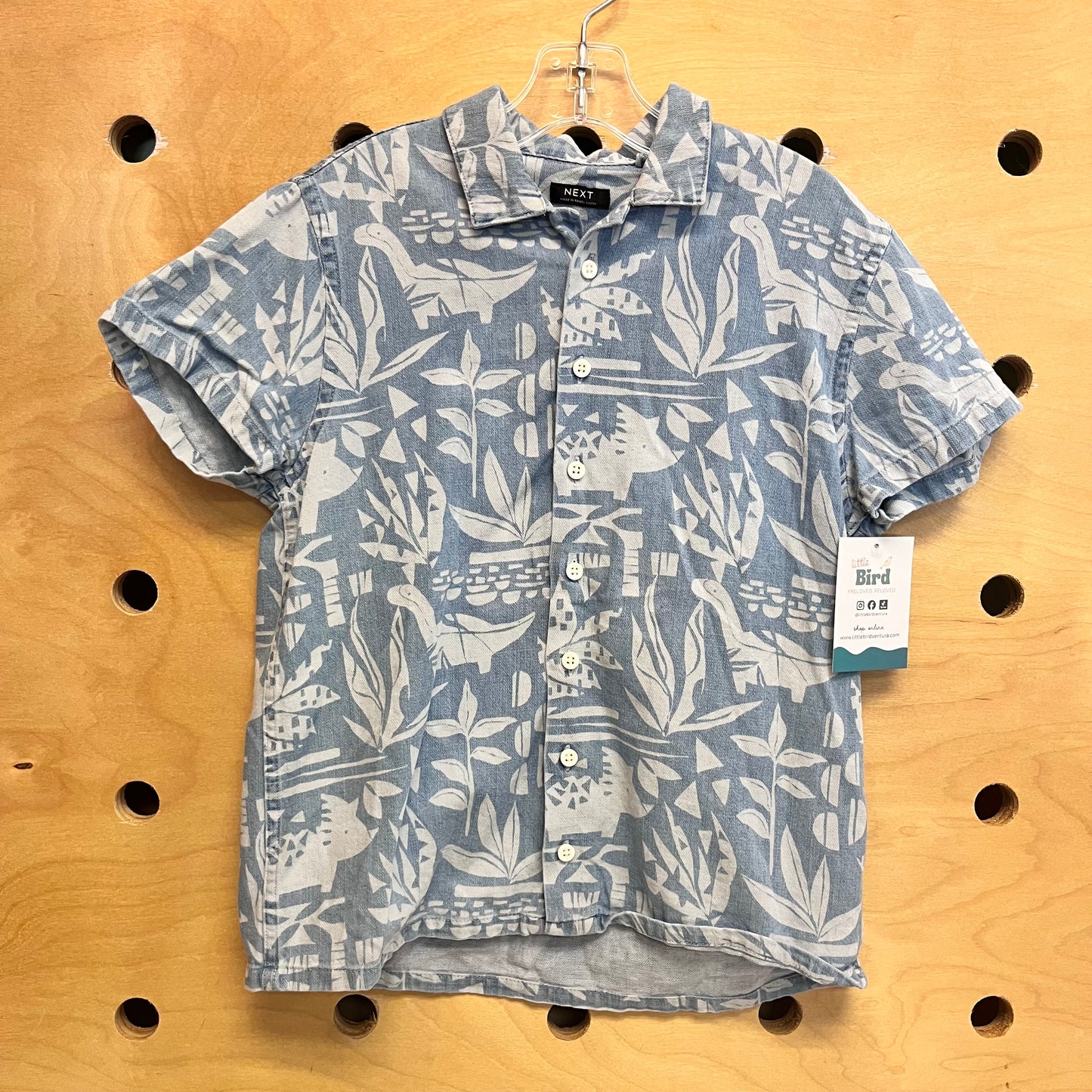 Light Blue Dinos/Leaves Button Up