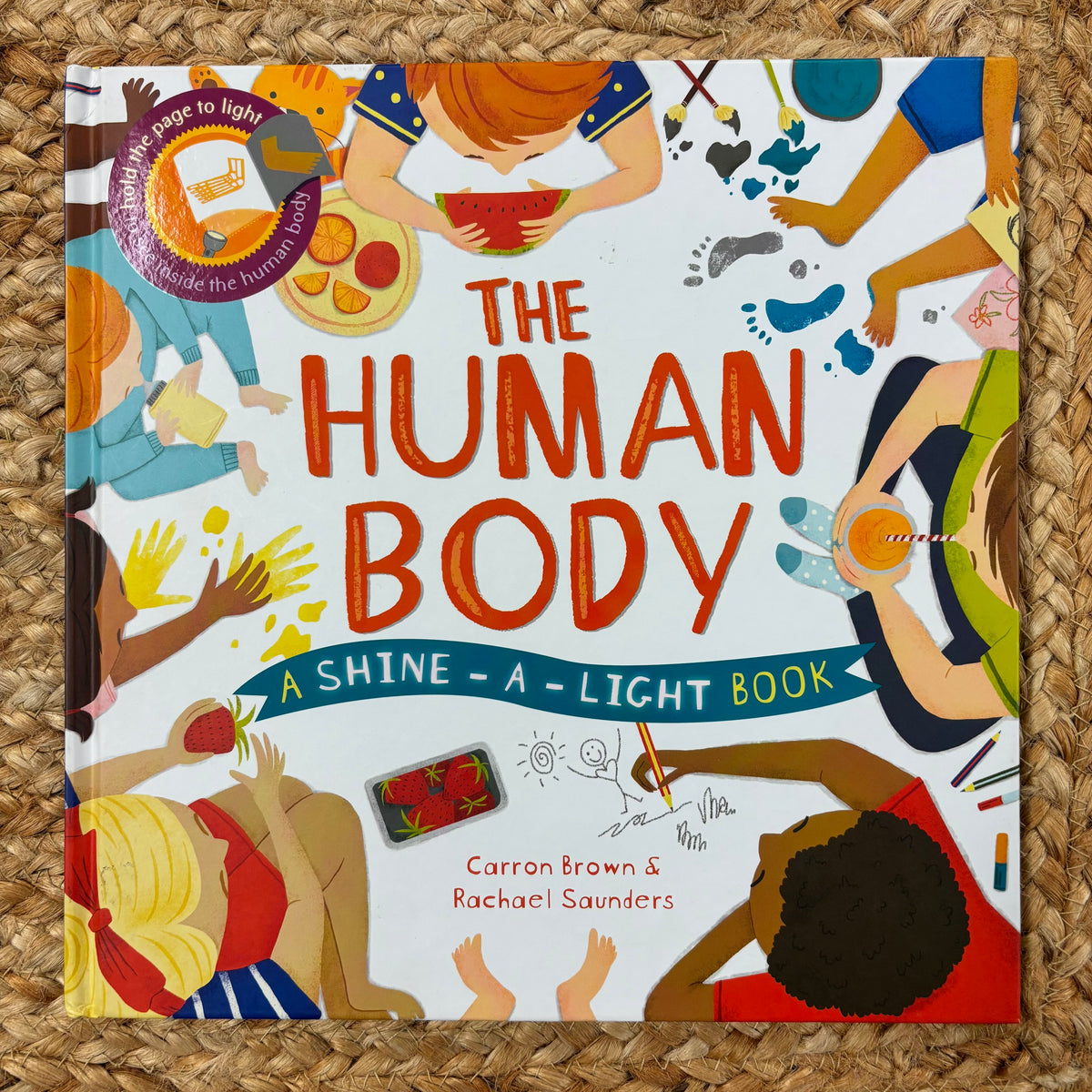 The Human Body