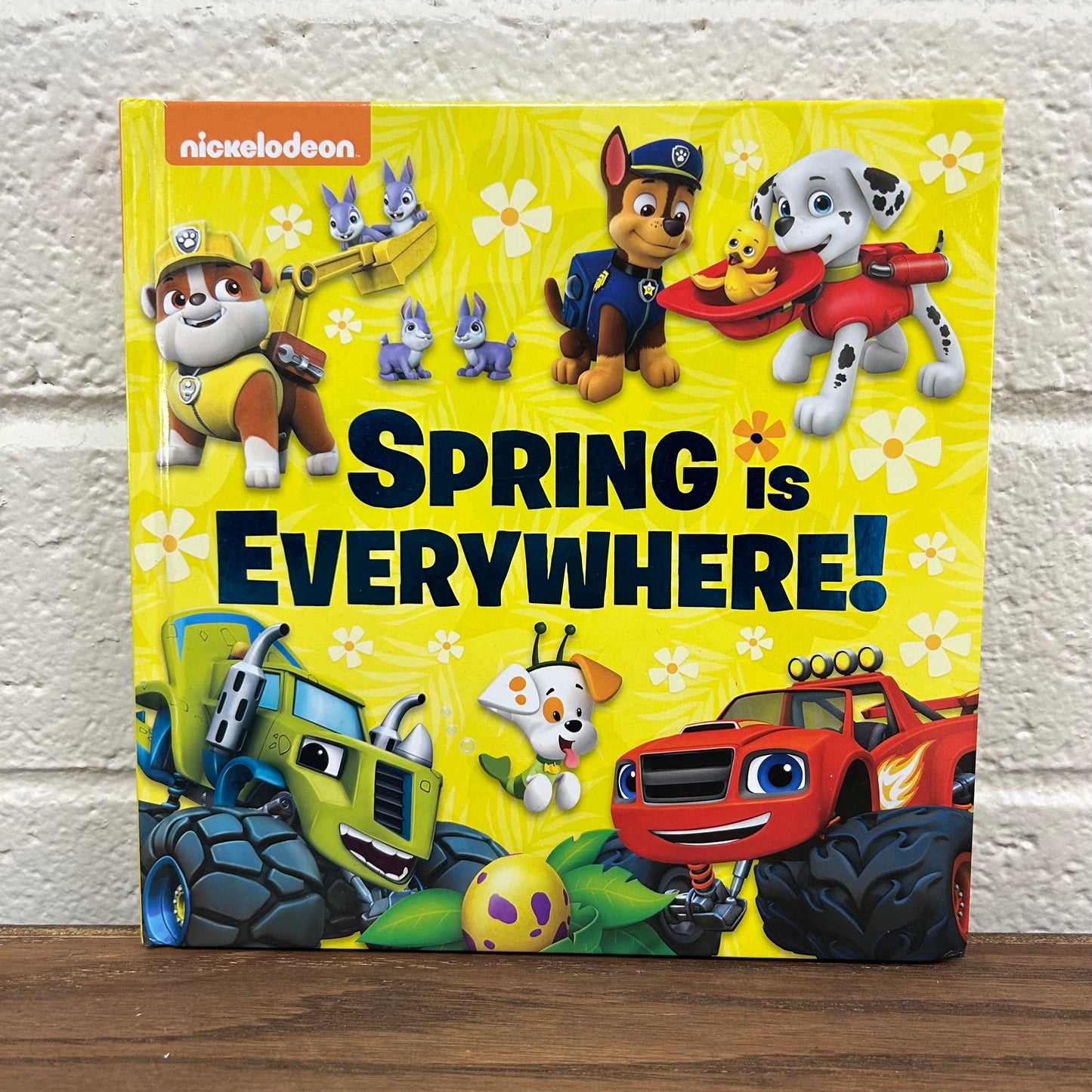 Spring is Everywhere!