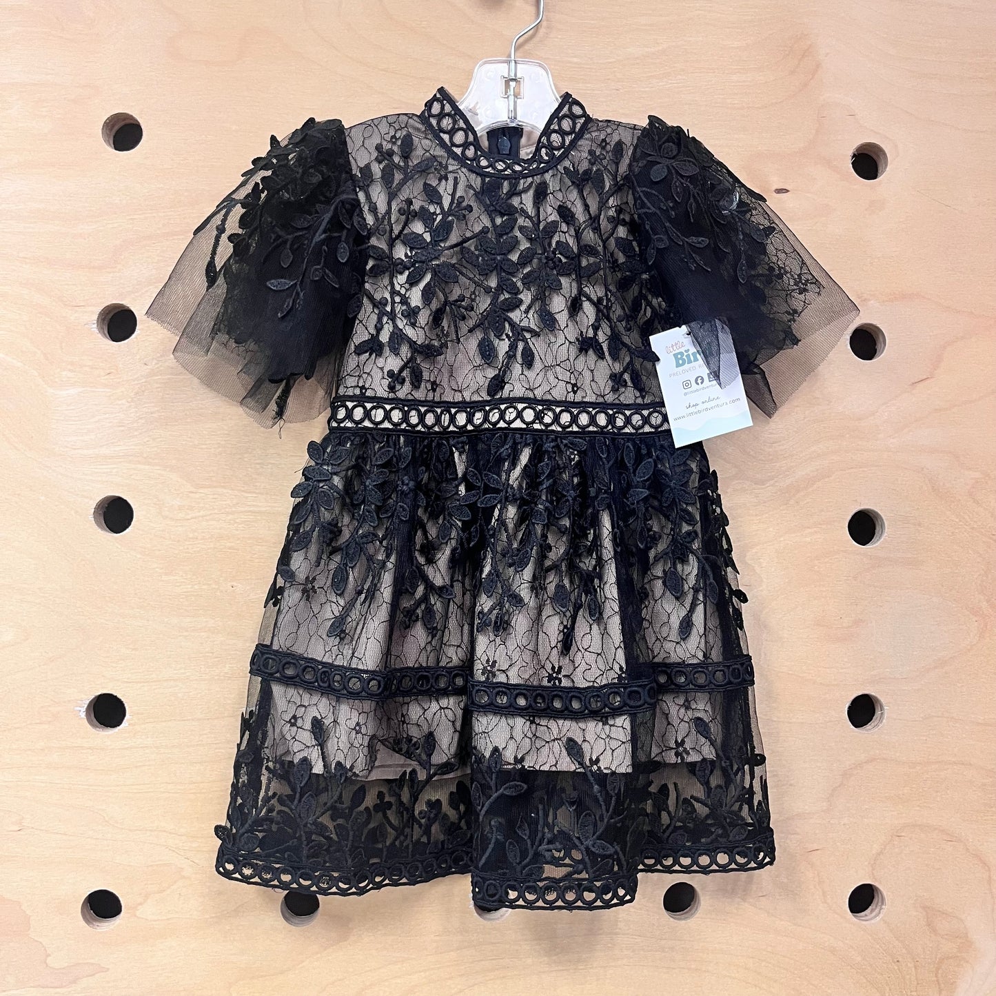 Black Lace & Tan Dress