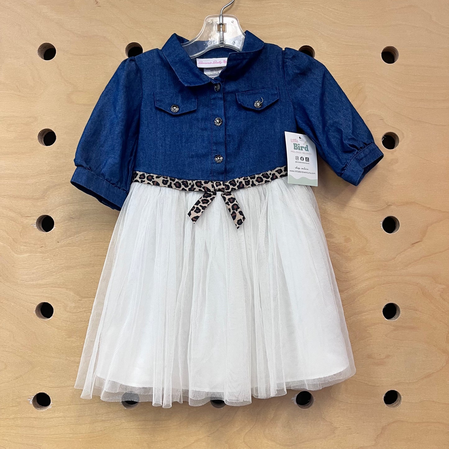 Chambray & Tulle Dress