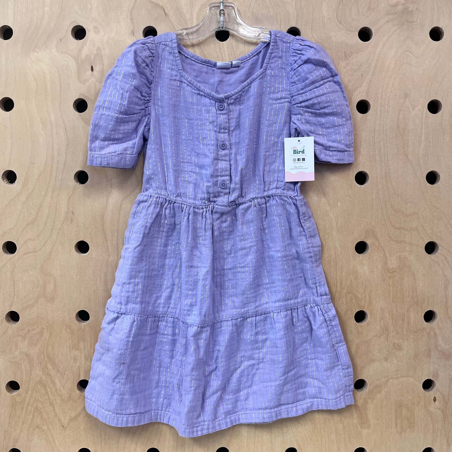 Purple + Silver Dress