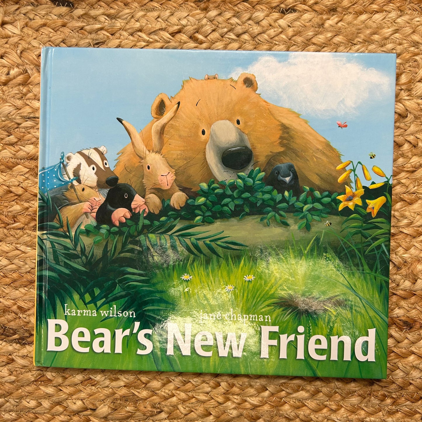 Bear's New Friend