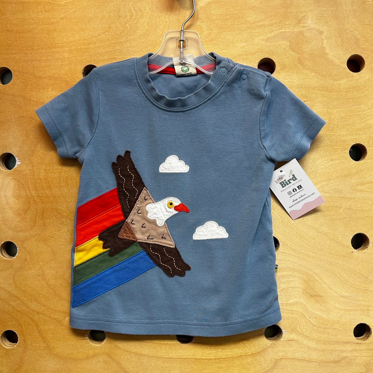 Organic Rainbow Eagle Applique Tee