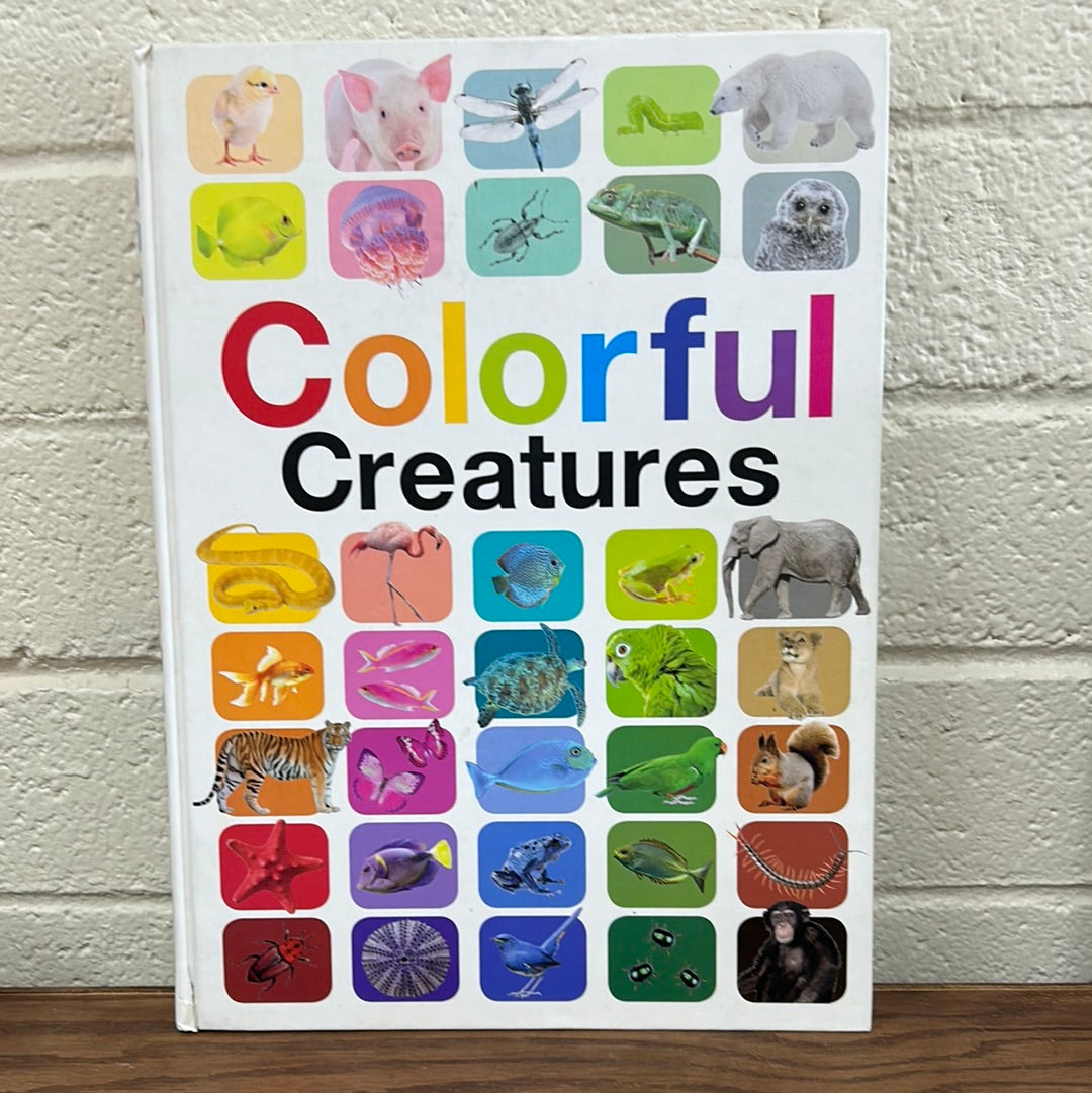 Colorful Creatures