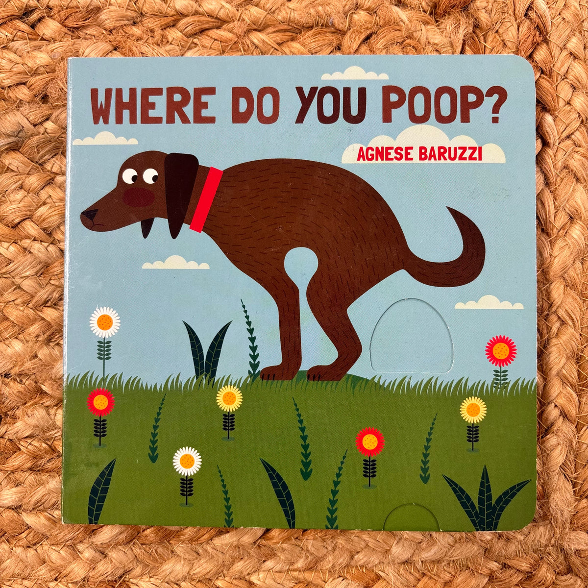 Where Do You Poop?