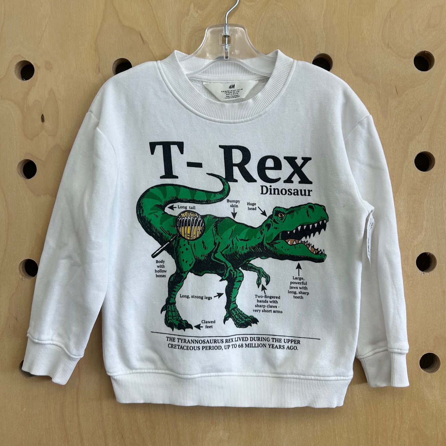 White T-Rex Sweatshirt