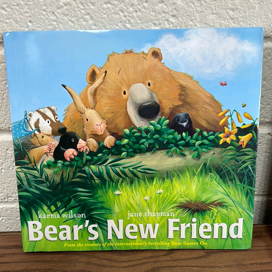 Bear's New Friend