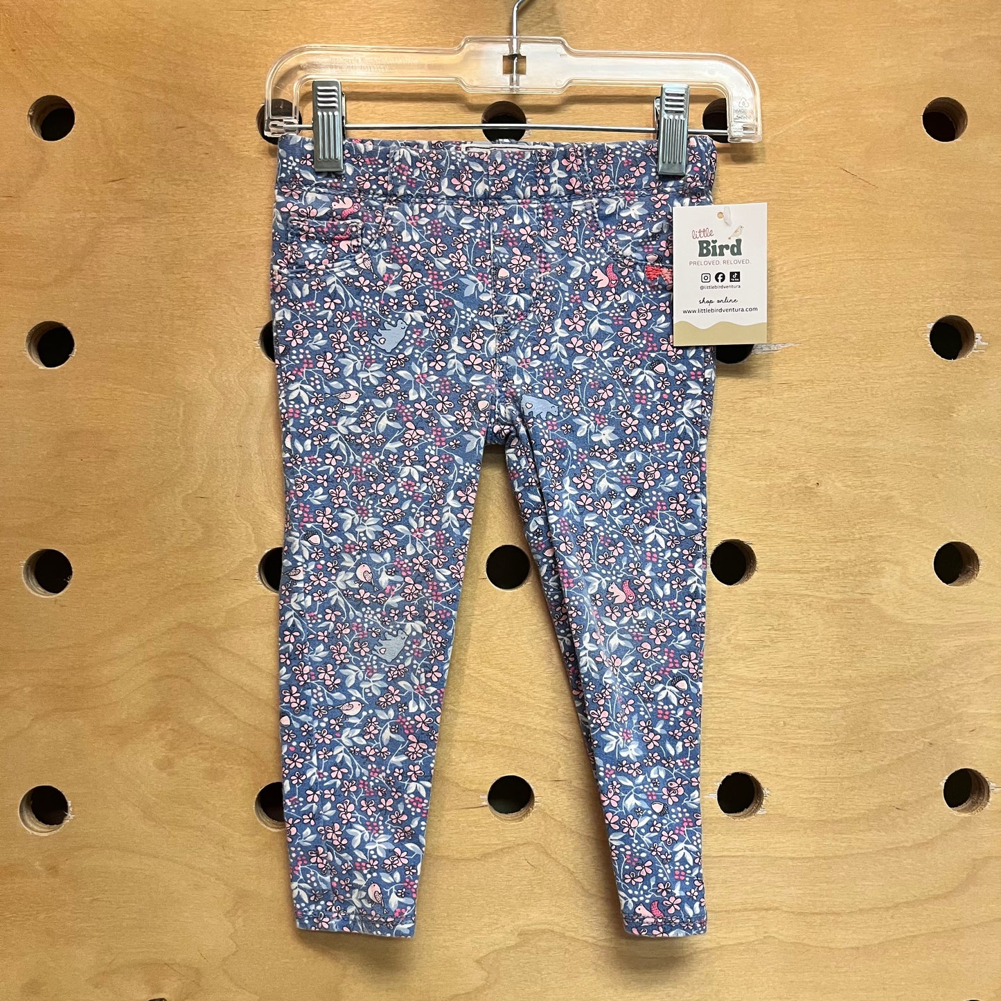 Blue Floral/Squirrel Jeggings