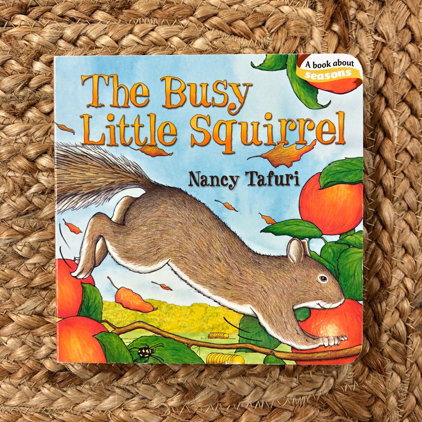The Busy Little Squirrel