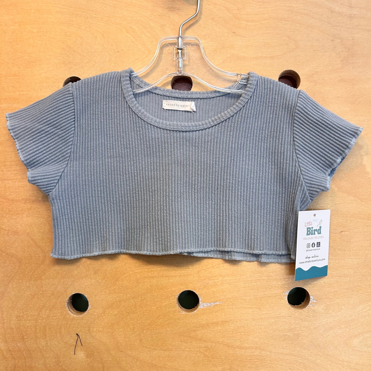 Blue Ribbed Crop Top
