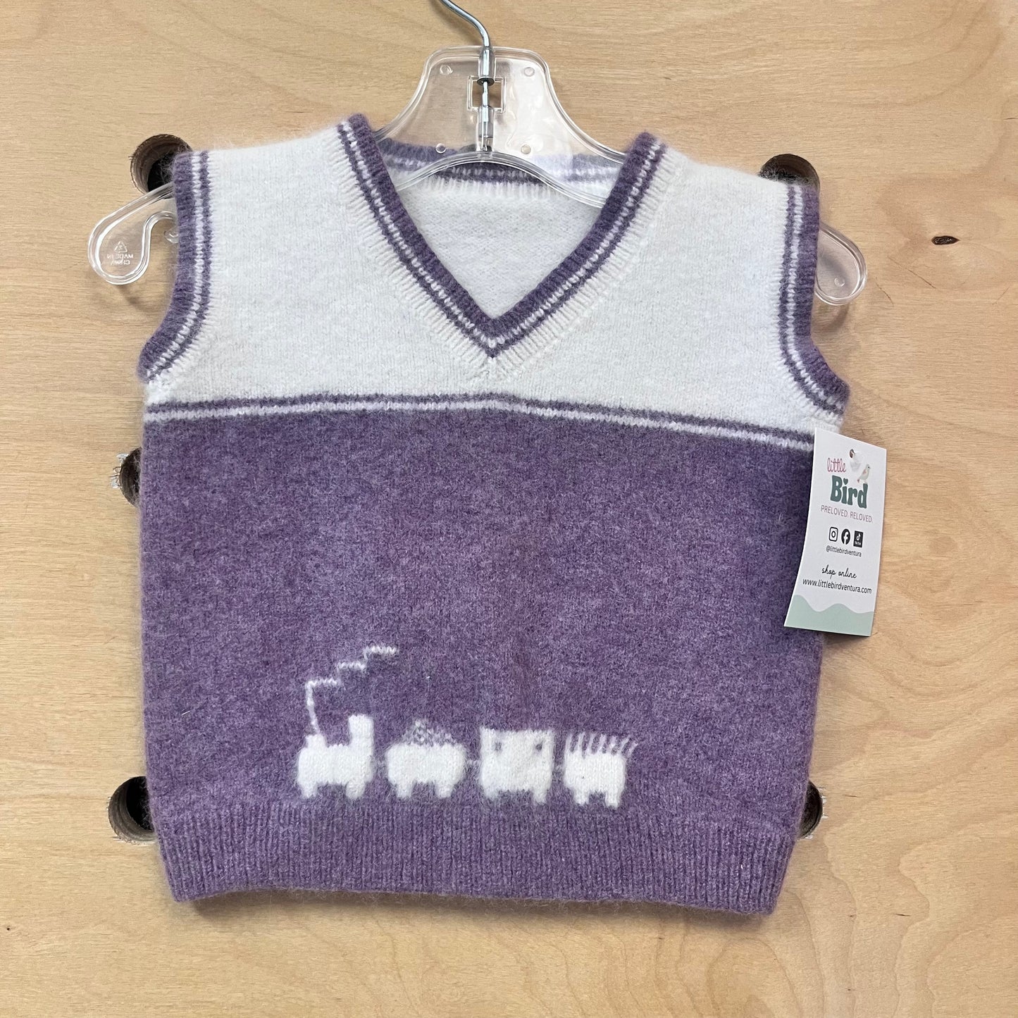 Purple & White Train Sweater Vest
