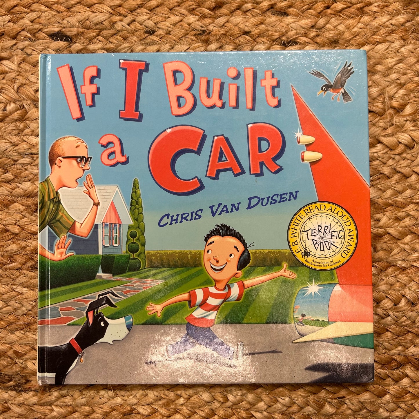 If I Built a Car