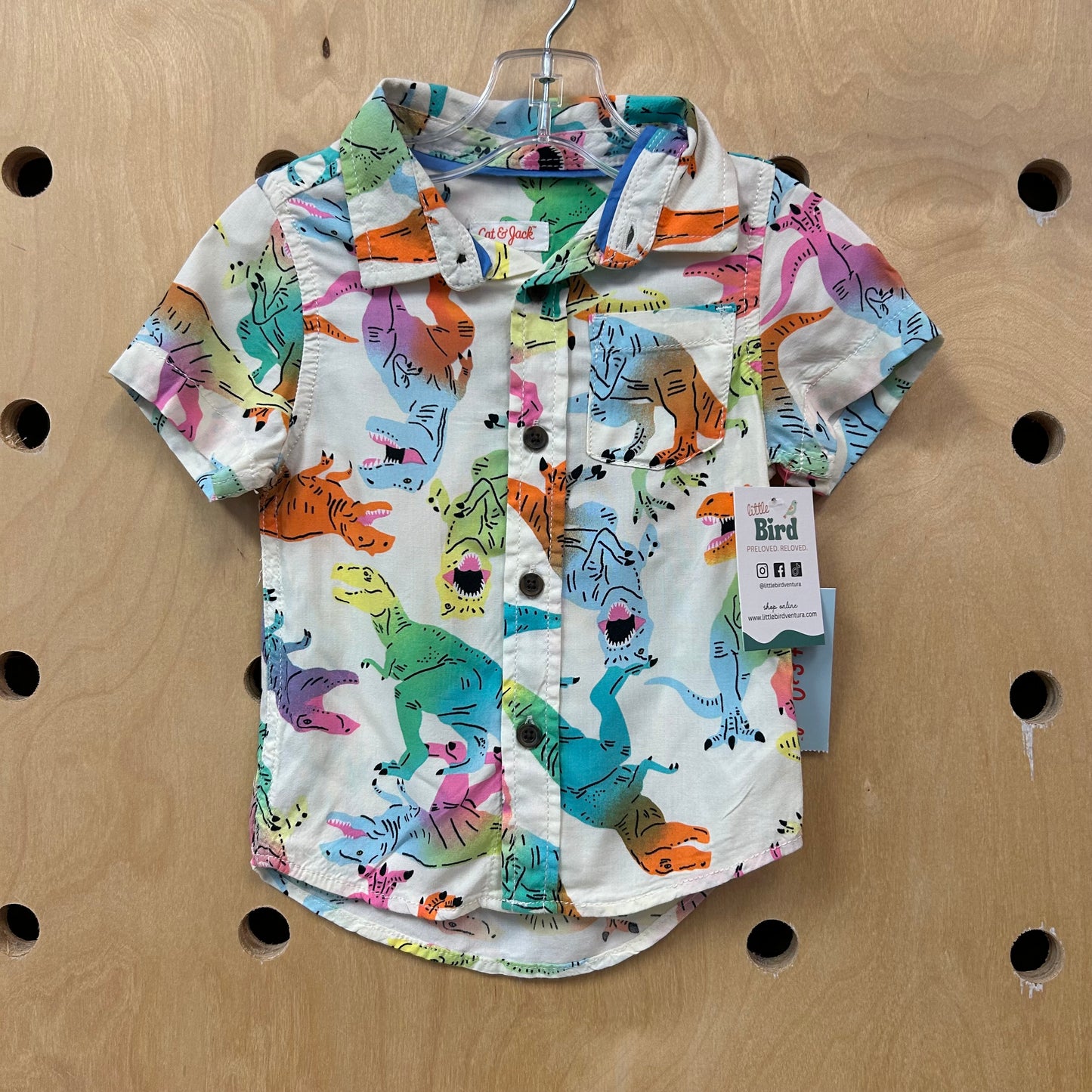 Watercolor Dinos Button Up NEW!