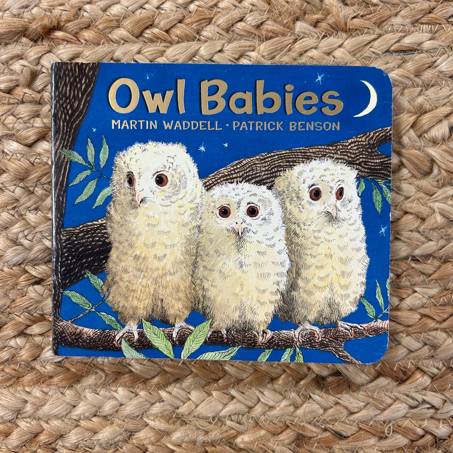 Owl Babies