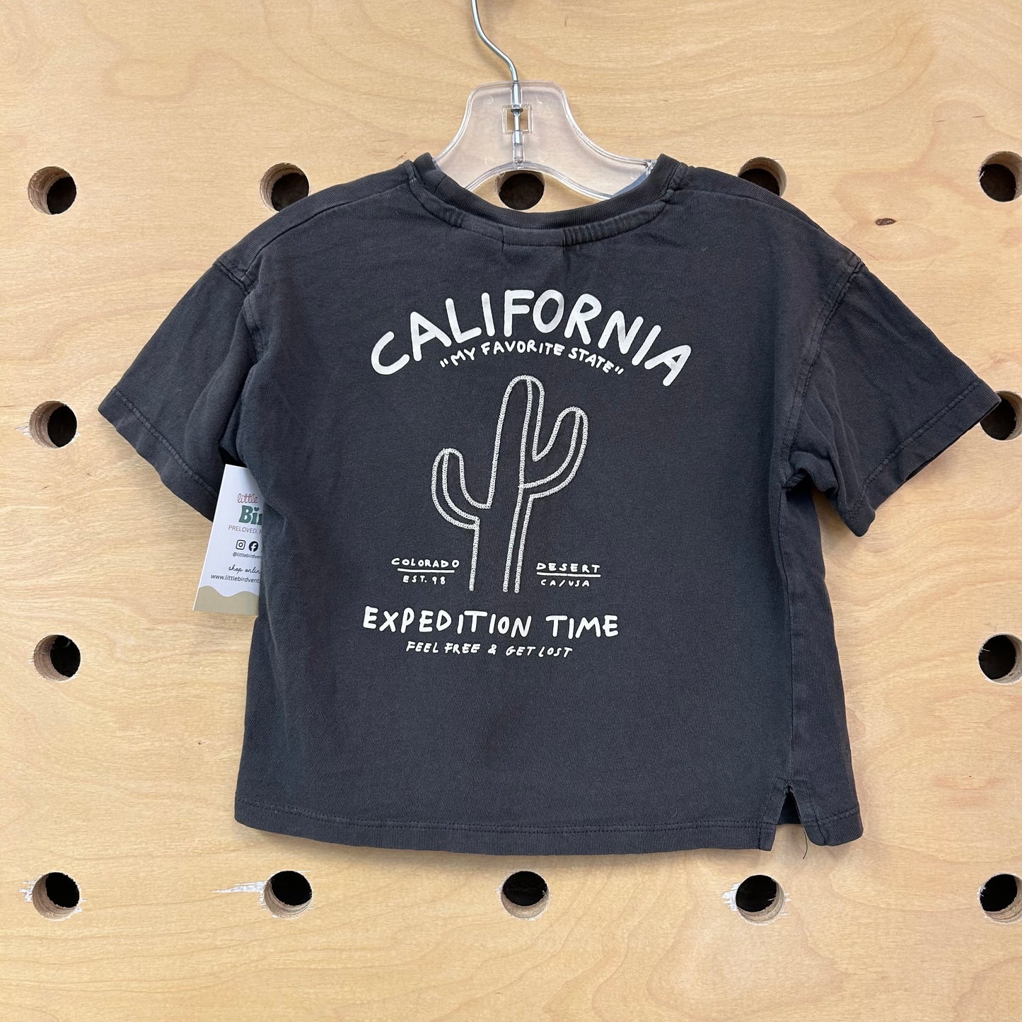 Grey Embroidered Cactus Tee
