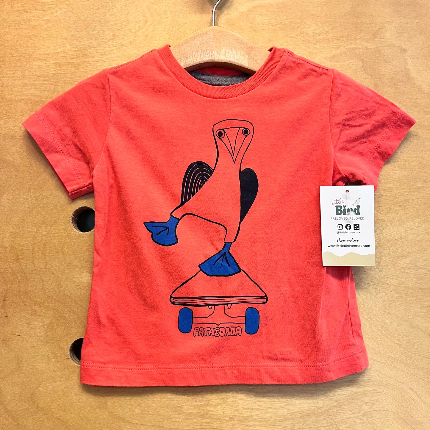Coral Blue Footed Boobie Tee