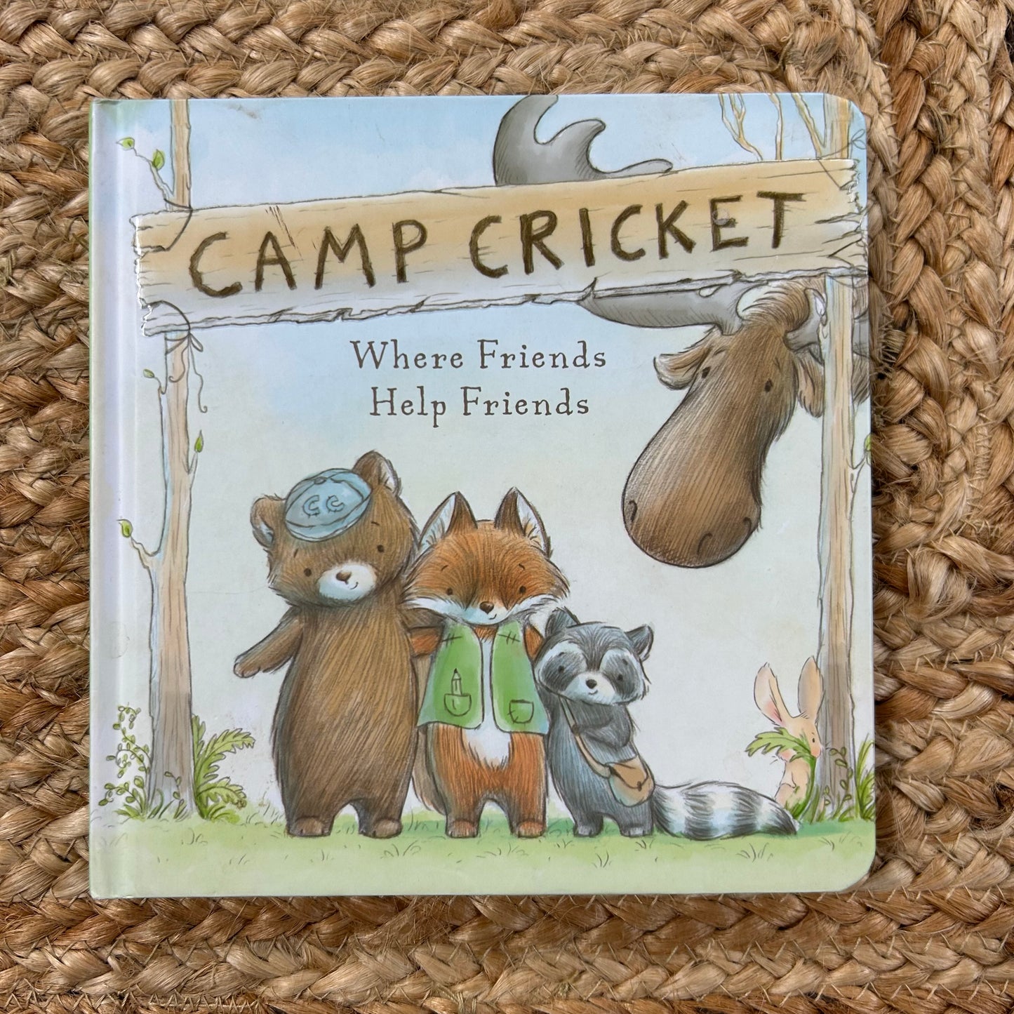 Camp Cricket: Where Friends Help Friends