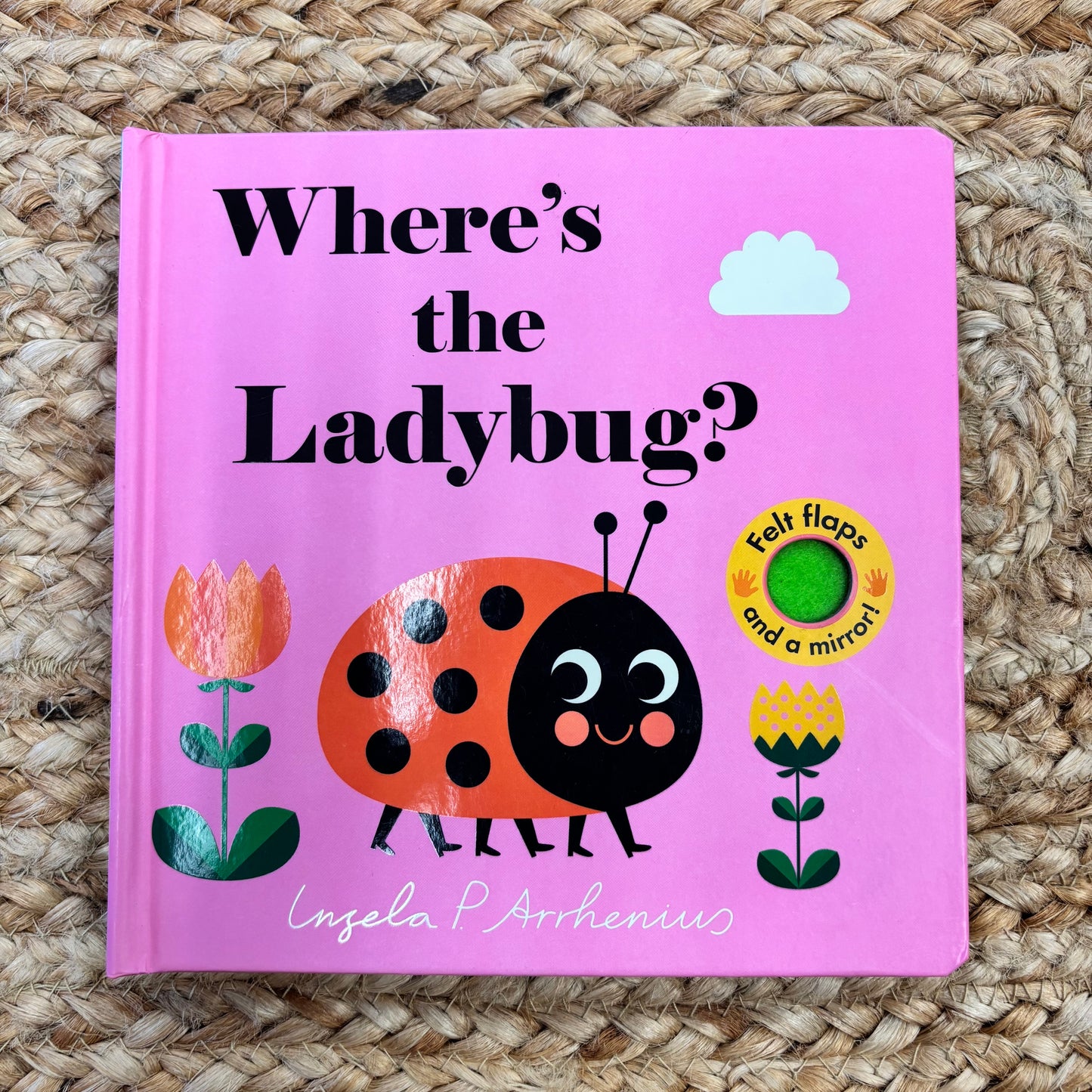 Where's the Ladybug?