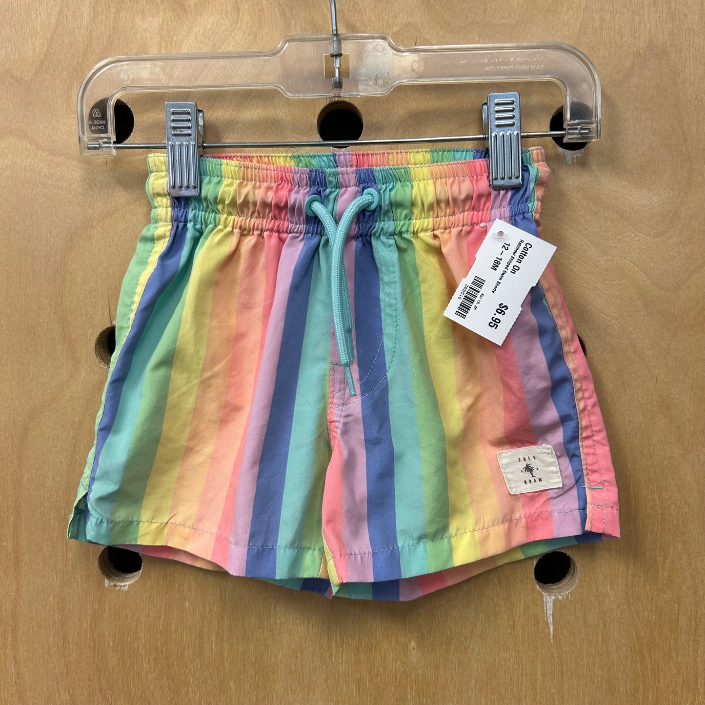 Rainbow Striped Swim Shorts