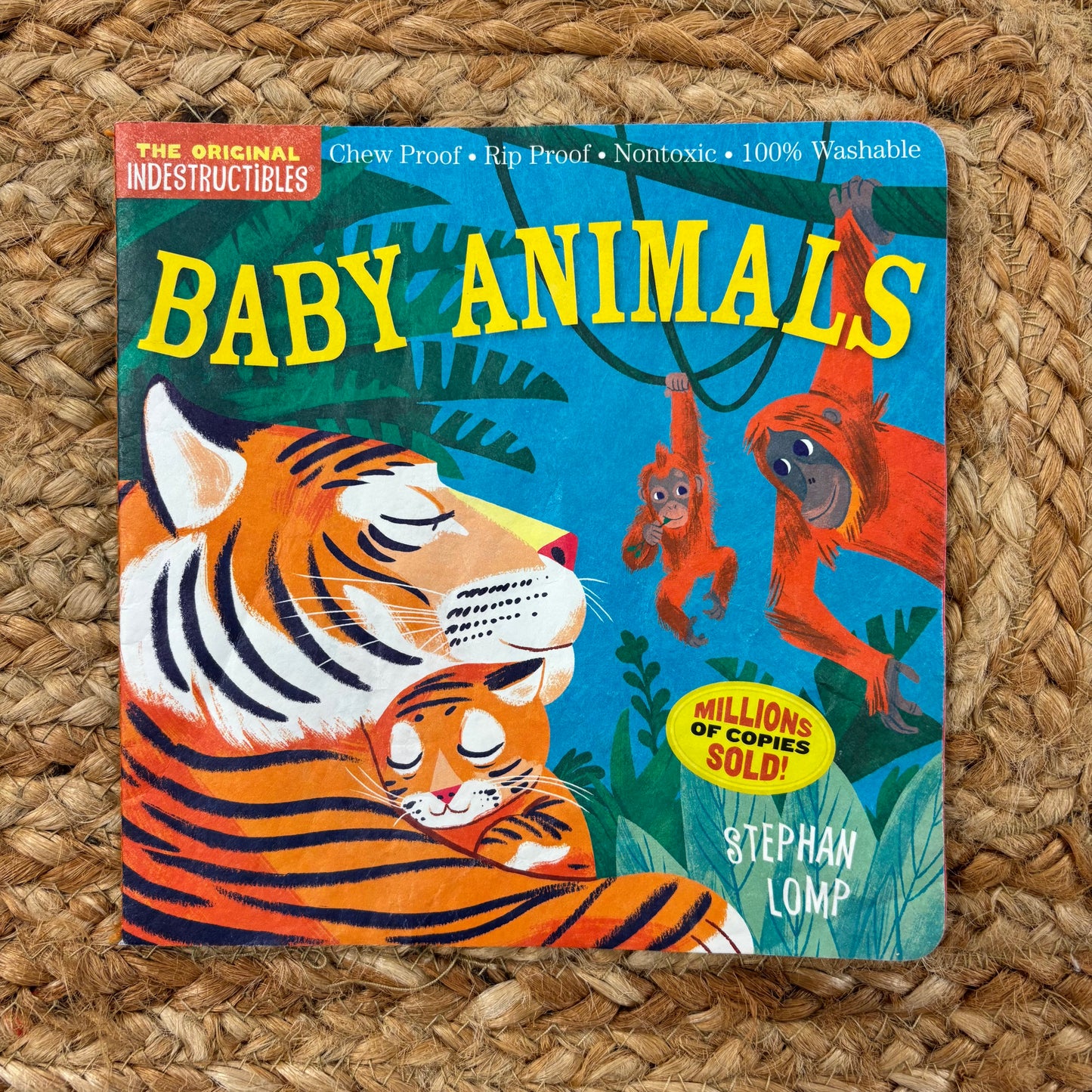 Baby Animals