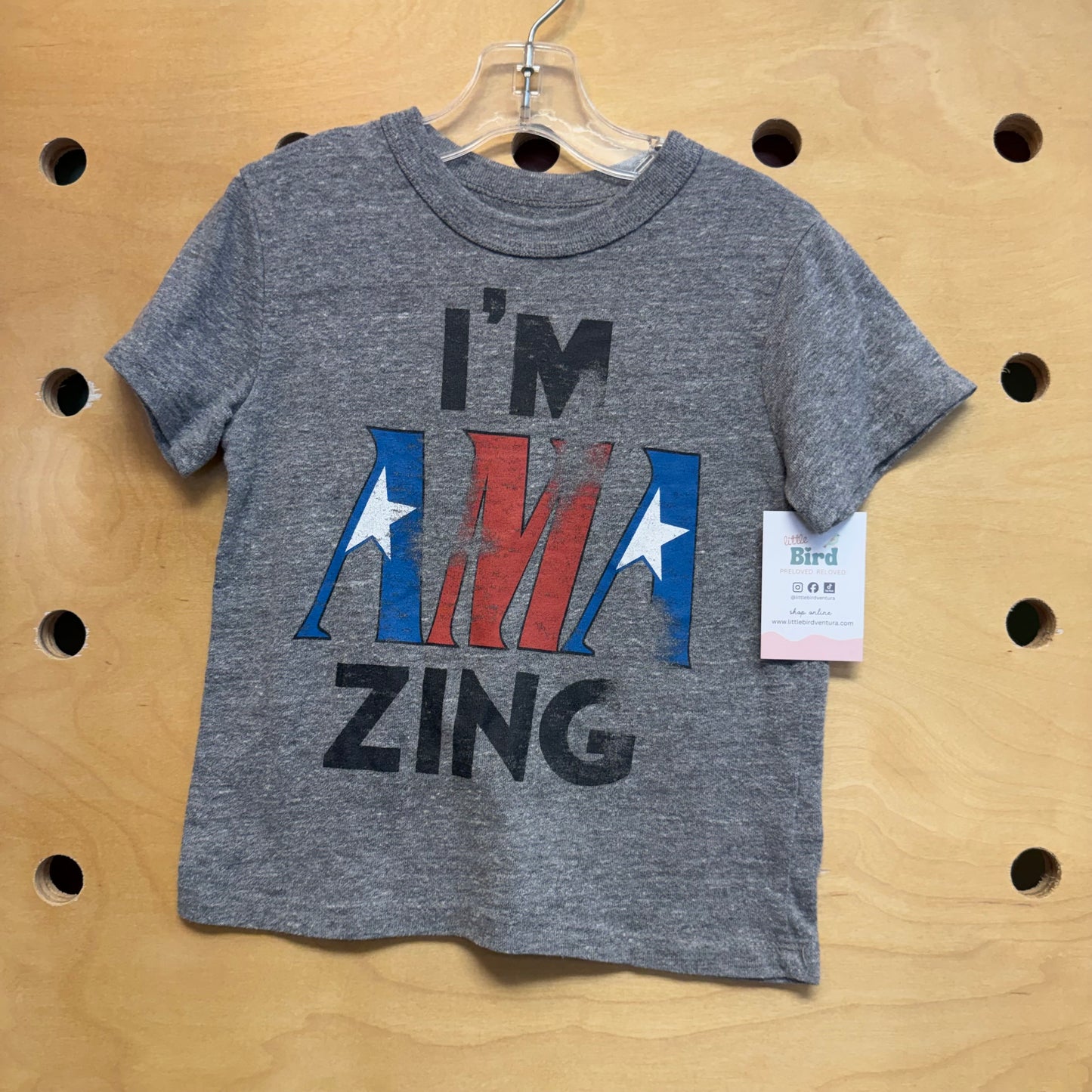 Grey 'Im Amazing' Tee