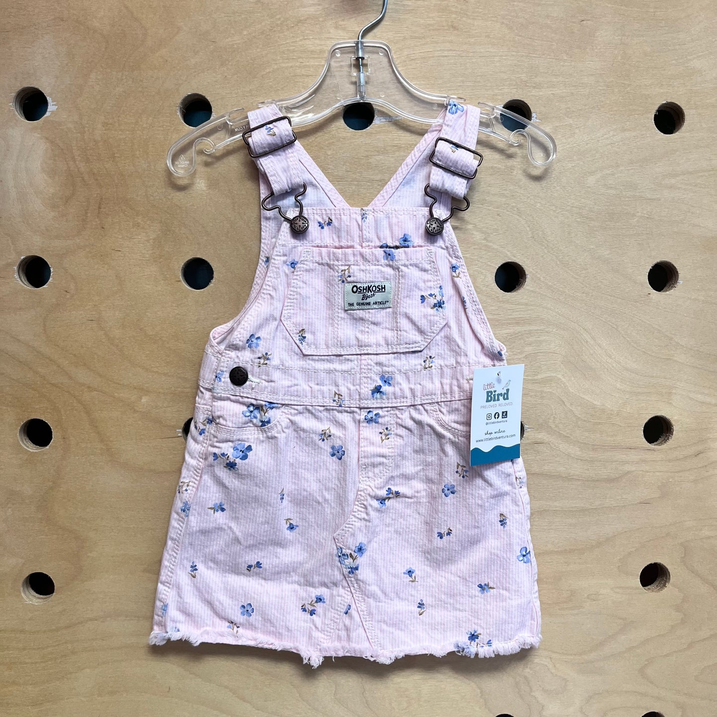 Pink/Blue Floral Skirtalls