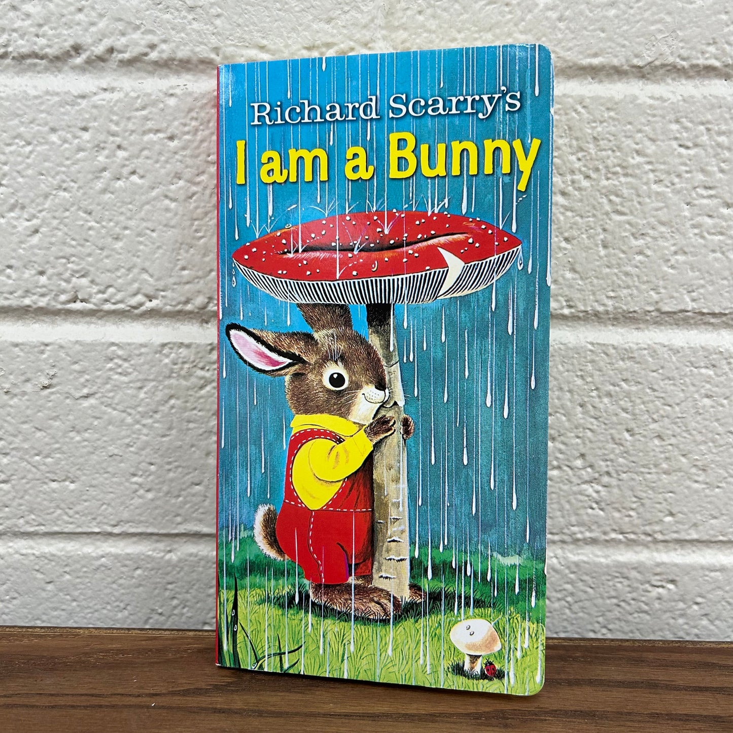 I Am A Bunny