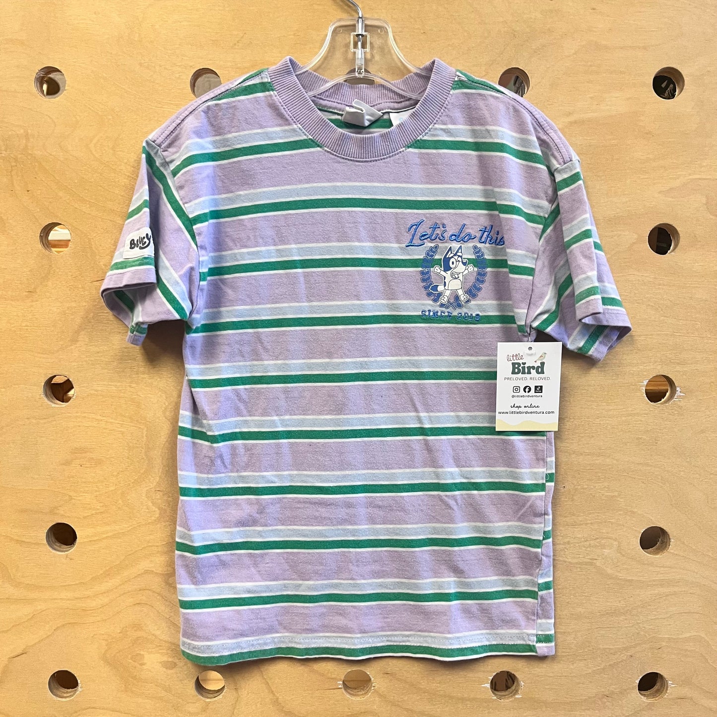 Lavender/Green Striped Bluey Tee