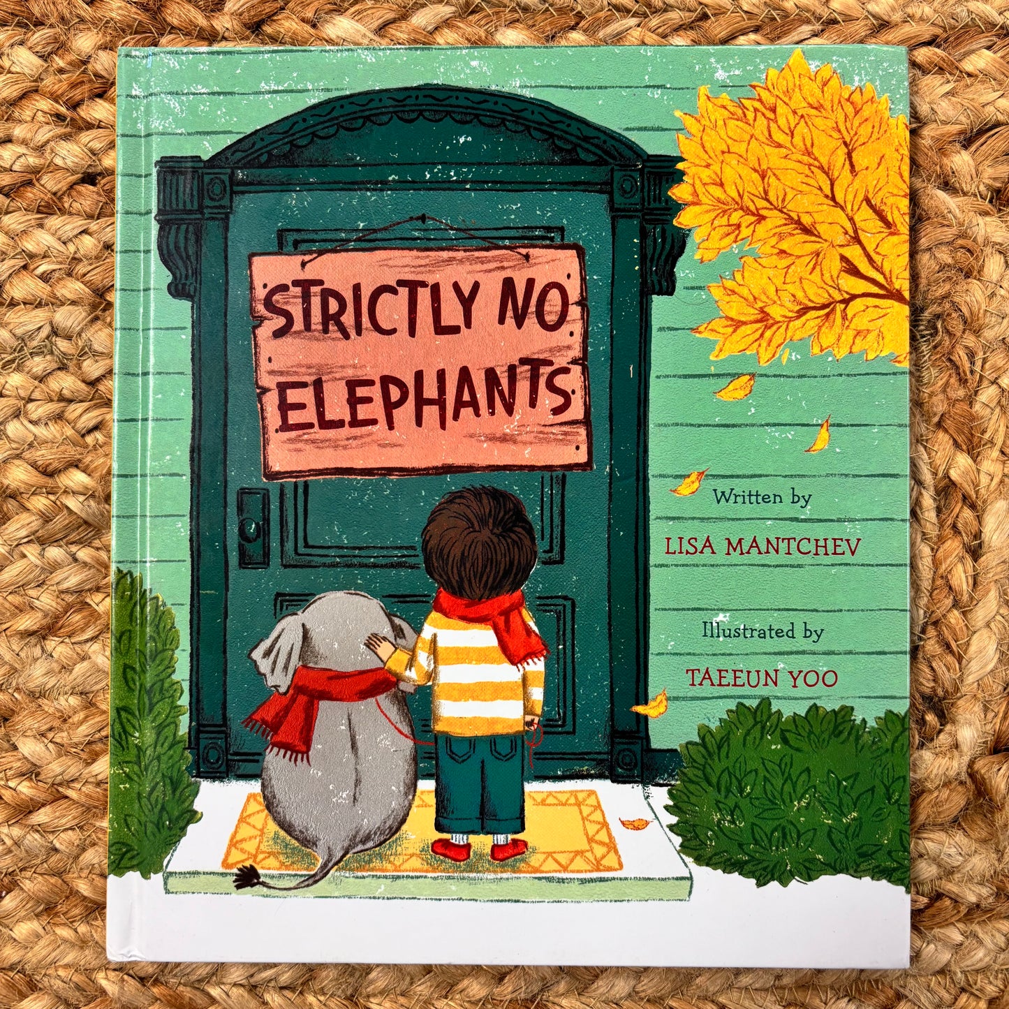 Strictly No Elephants
