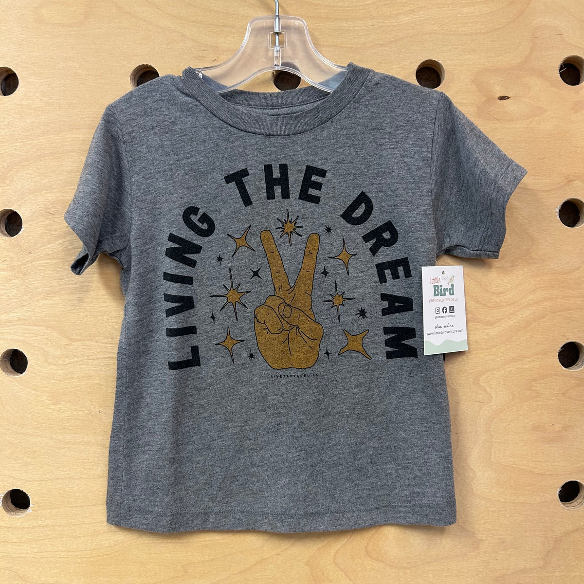 Grey Living the Dream Tee