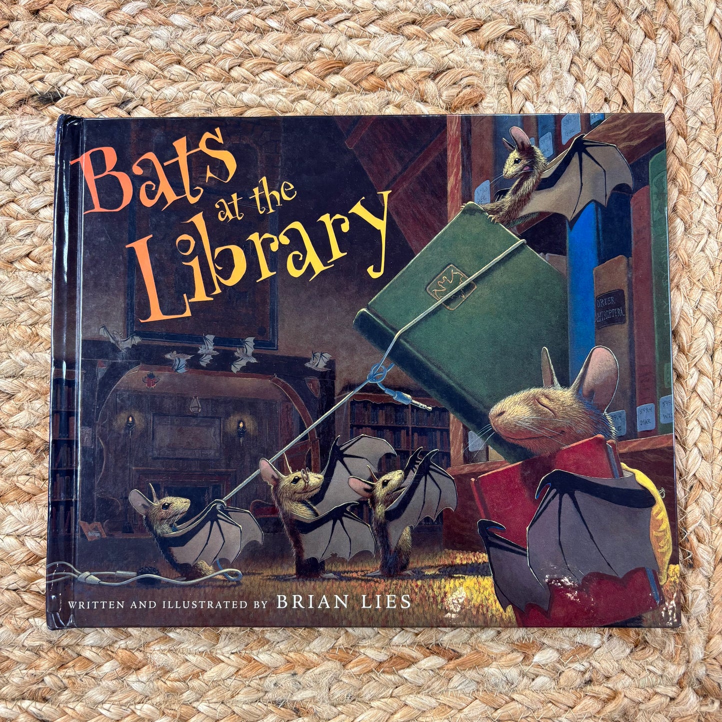 Bats at the Library