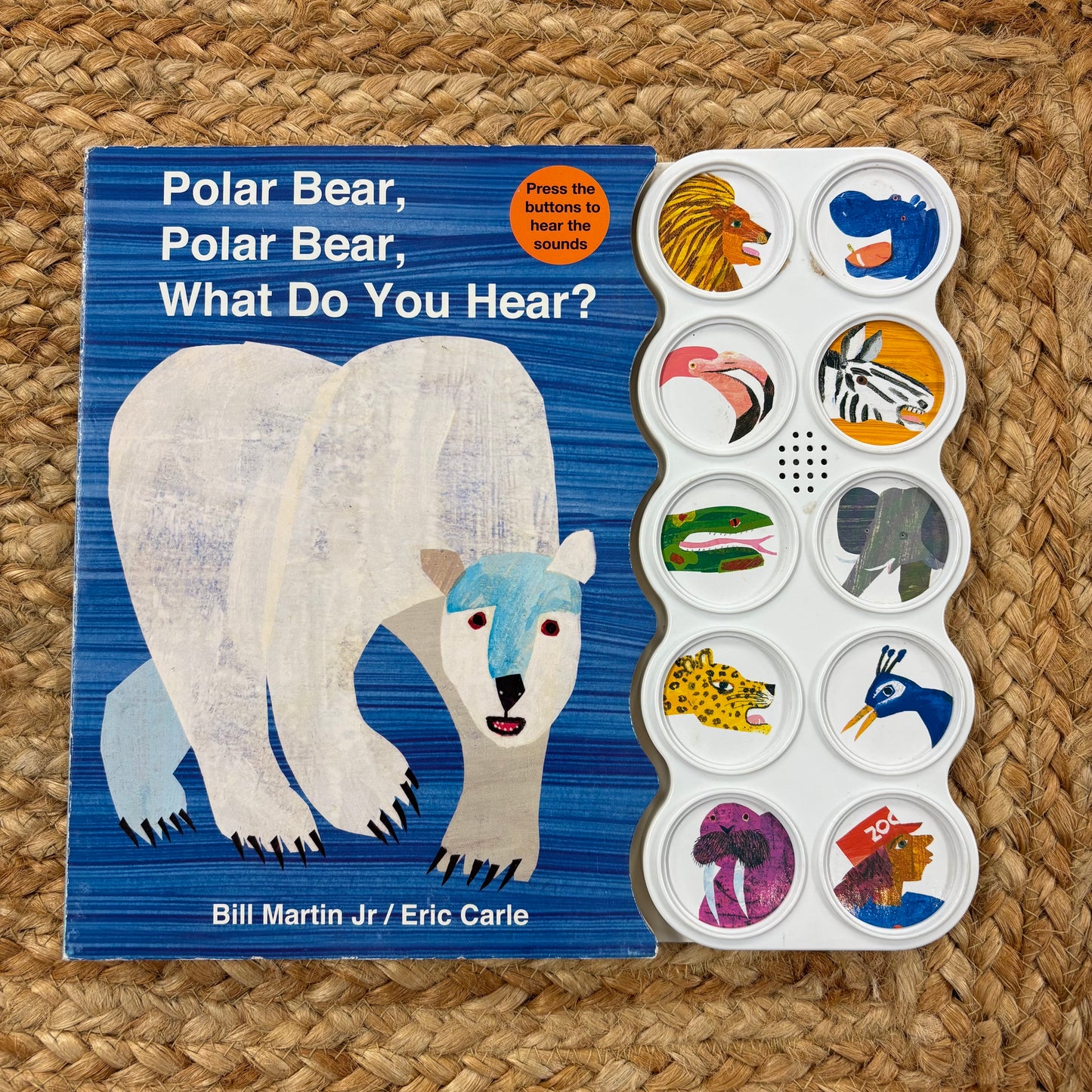 Polar Bear... What Do You Hear?