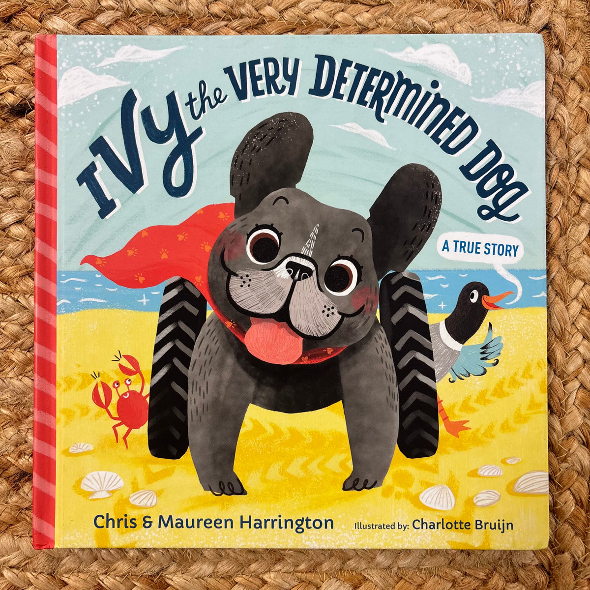 Ivy The Very Determained Dog