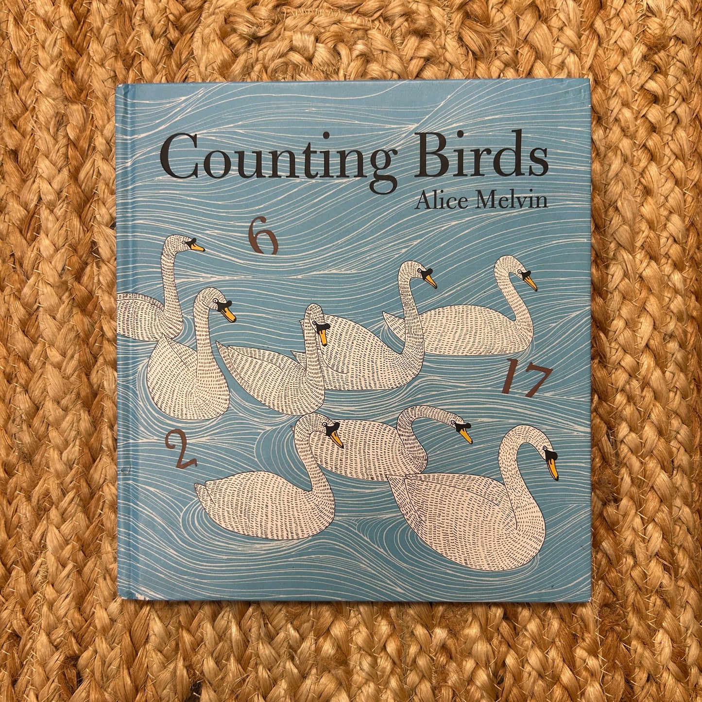 Counting Birds