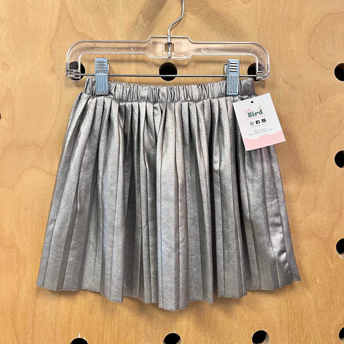 Silver Metallic Skirt
