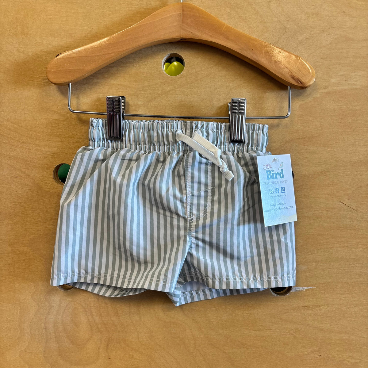 Green/White Striped Swim Trunks