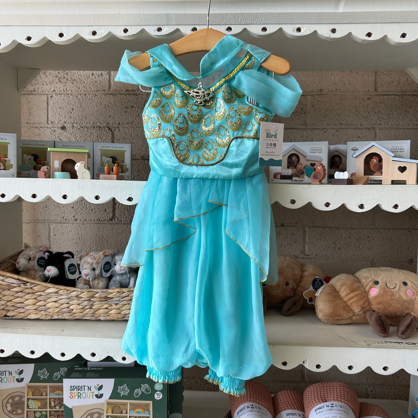 Princess Jasmine Dress Up