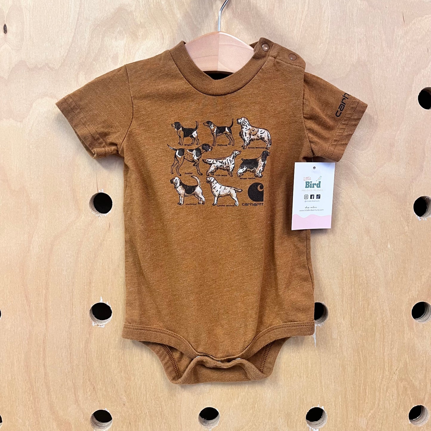 Brown Dogs Bodysuit