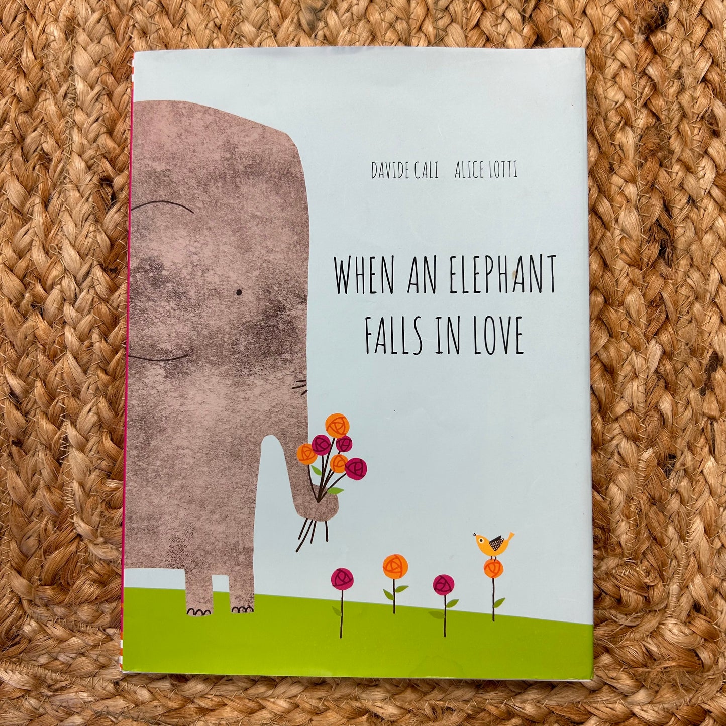 When An Elephant Falls in Love