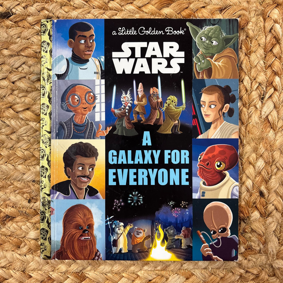 Star Wars A Galaxy For Everyone