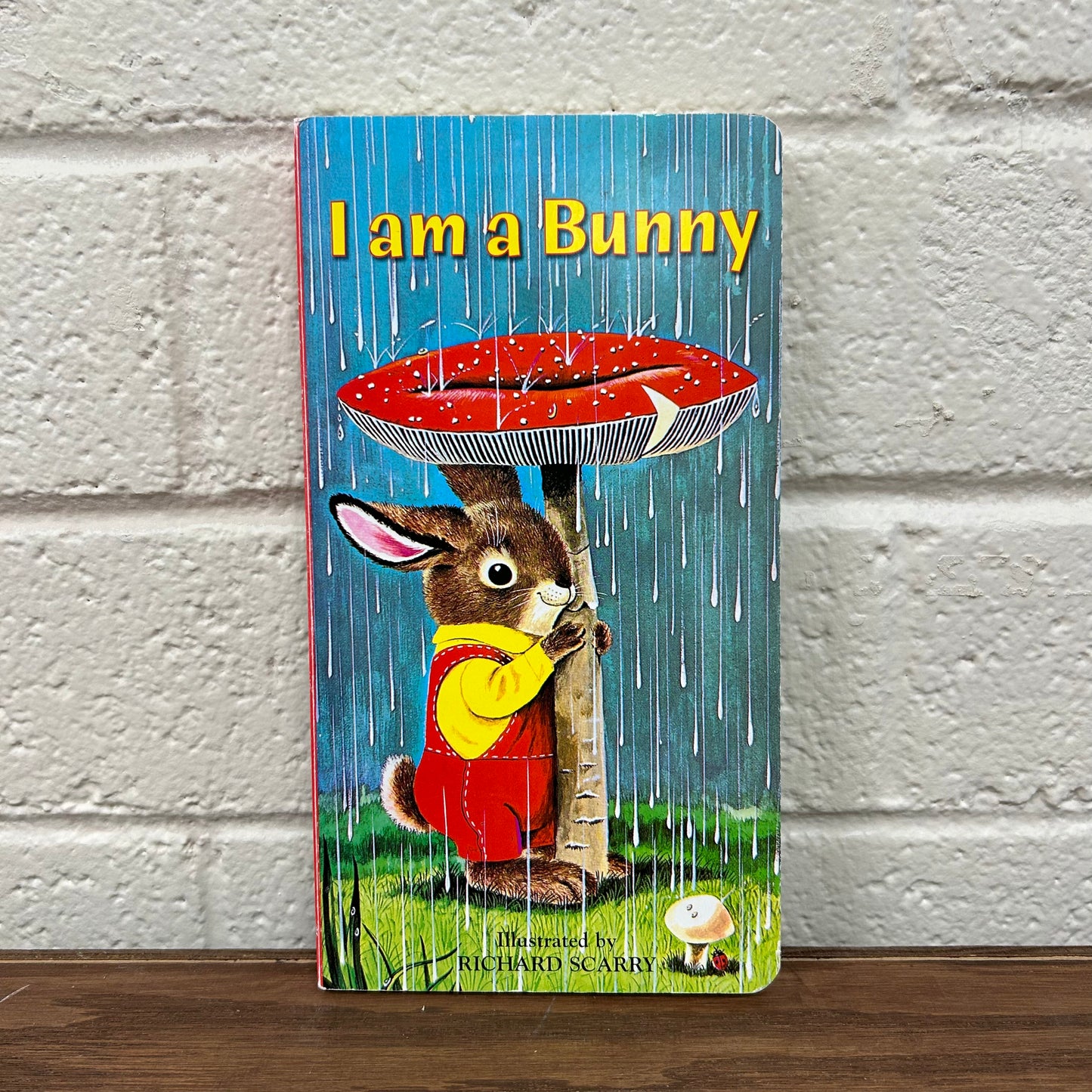 I am a Bunny