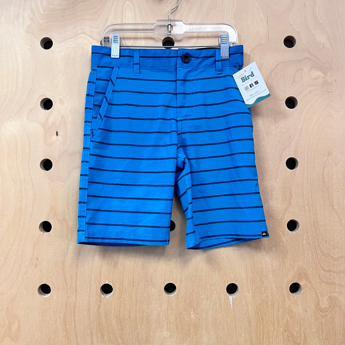 Blue Striped Board Shorts