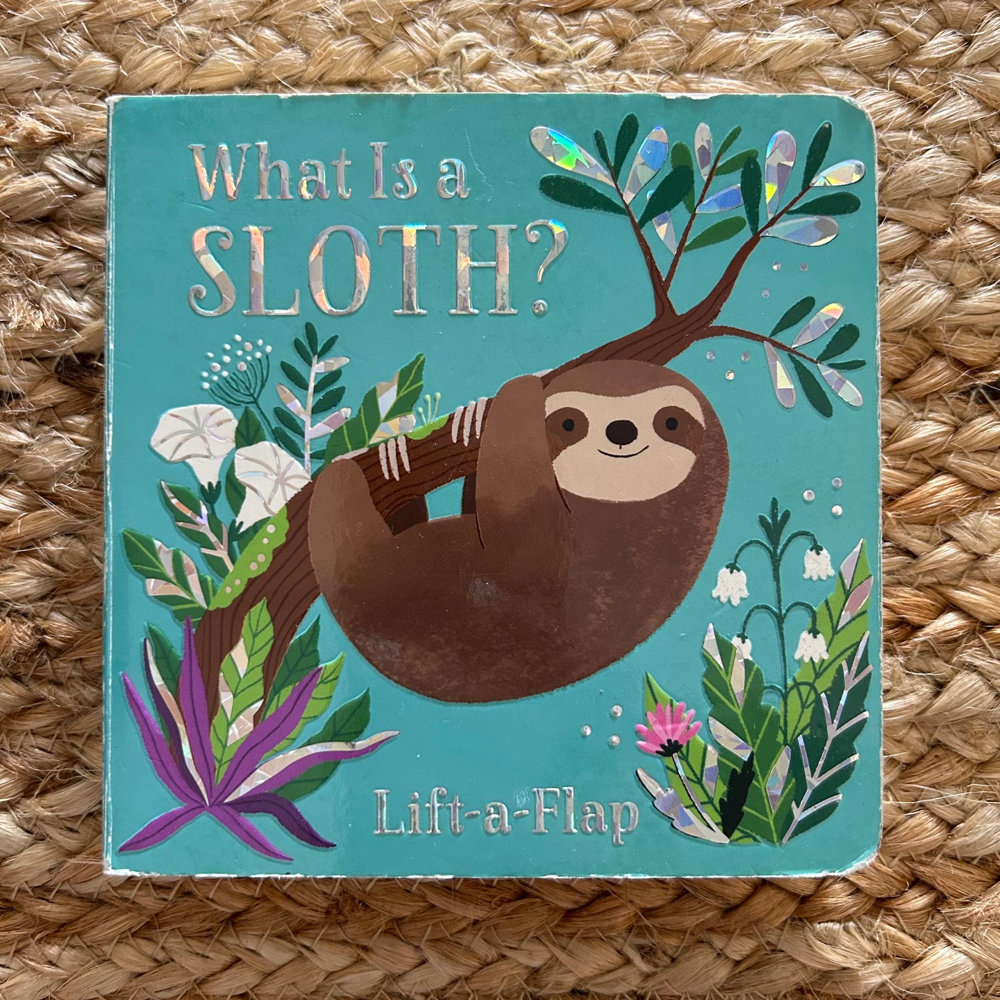 What Is a Sloth?